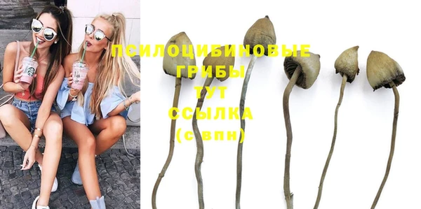 синтетический гашиш Киреевск