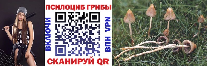 Псилоцибиновые грибы Psilocybine cubensis Куса